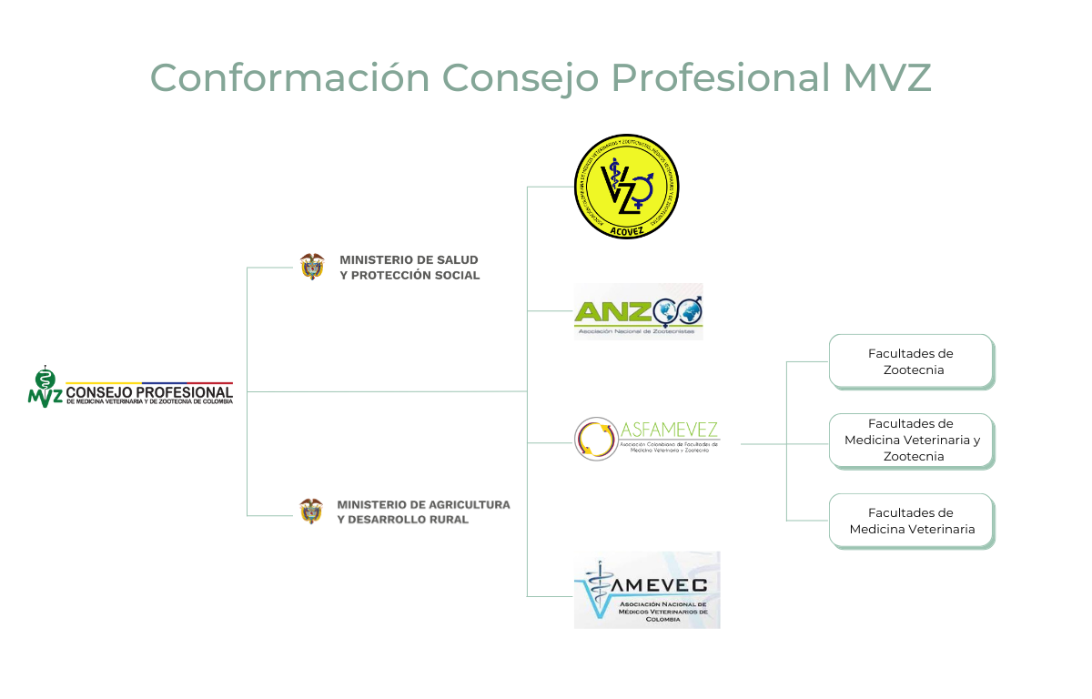 Organigrama que presenta la conformación de Comvezcol