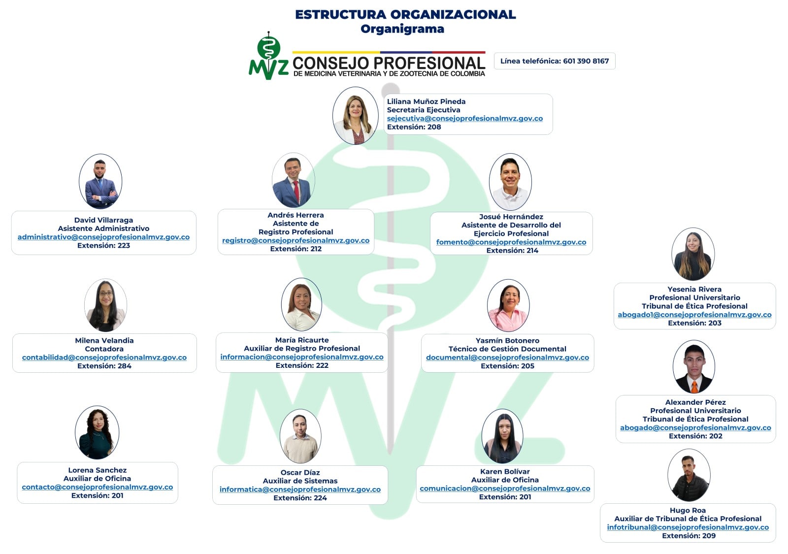 Organigrama que presenta la estructura organizacional de Comvezcol