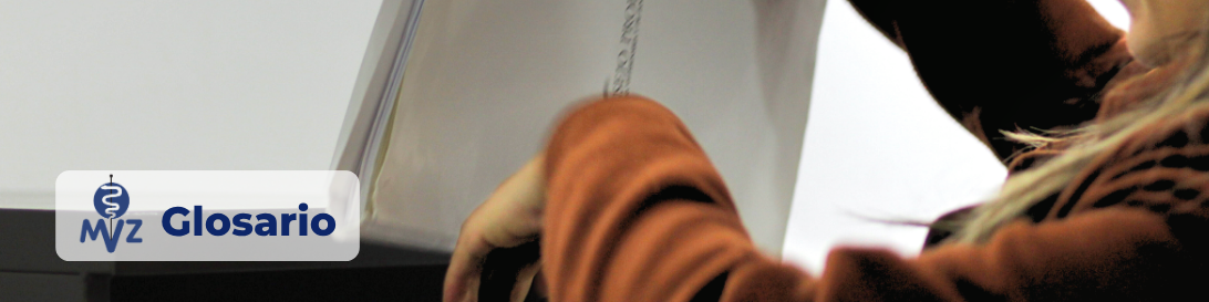 Baner Glosario