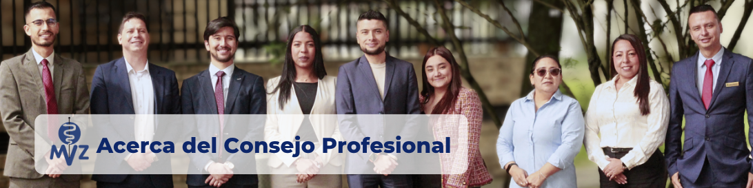 Baner Acerca del Consejo Profesional
