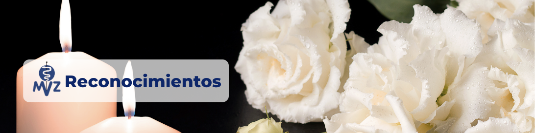 Baner Reconocimiento a profesionales fallecidos