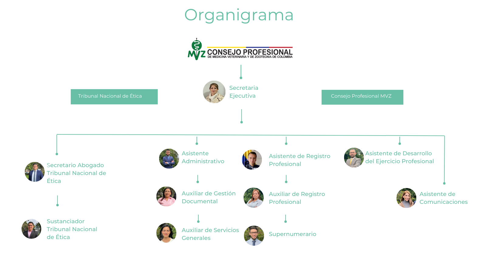 Organigrama que presenta la estructura organizacional de Comvezcol