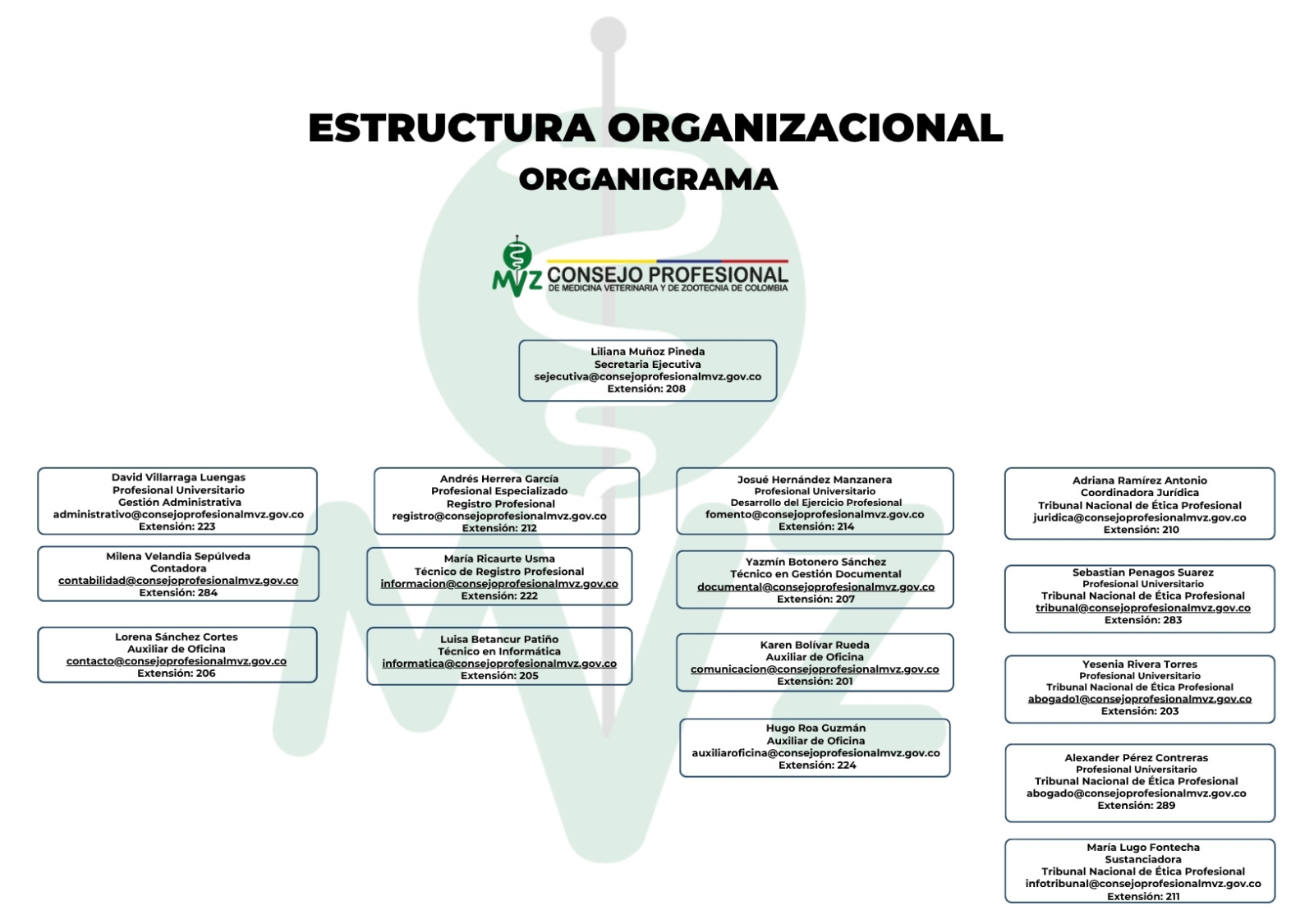 Organigrama que presenta la estructura organizacional de Comvezcol