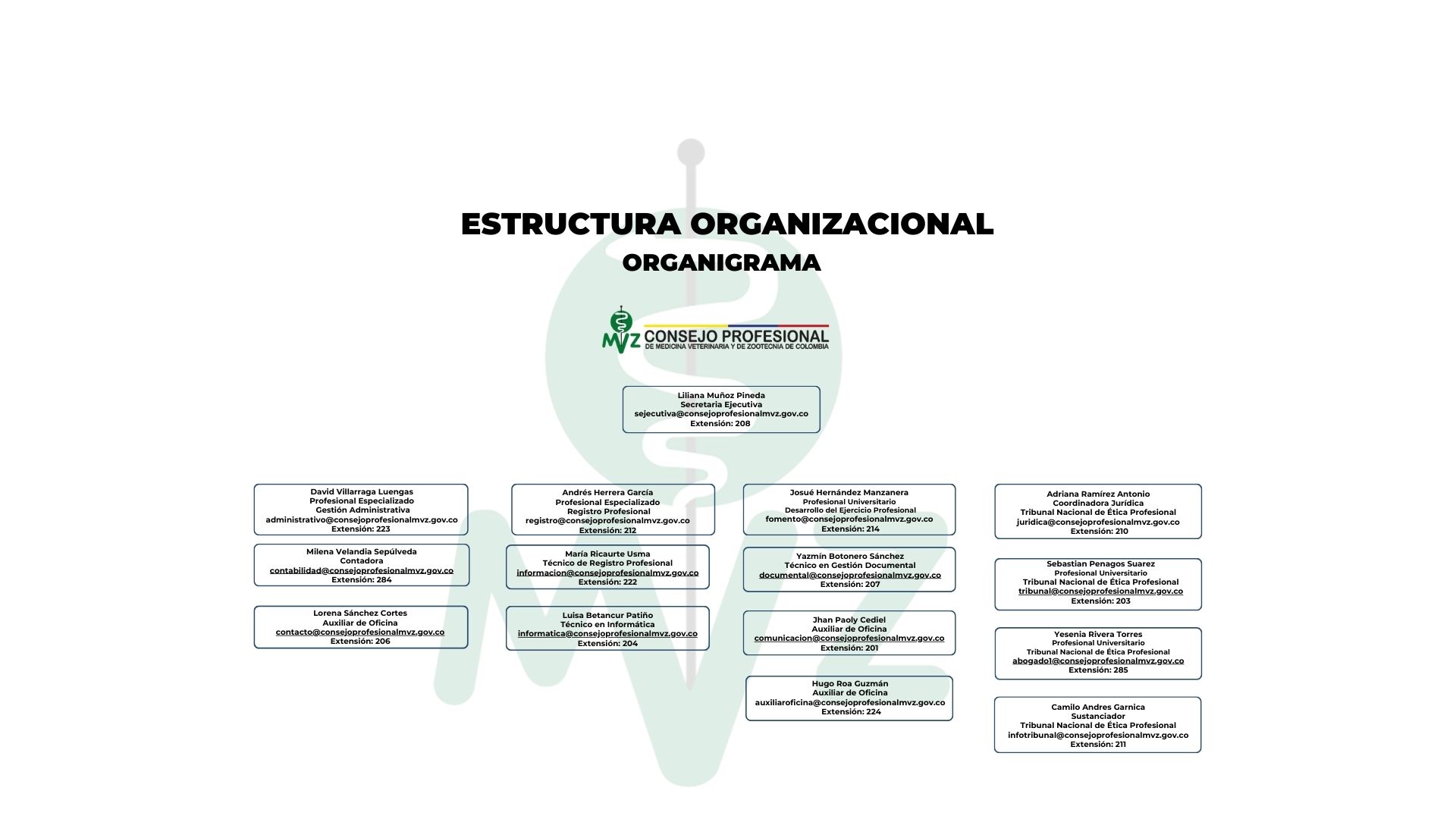 Organigrama que presenta la estructura organizacional de Comvezcol