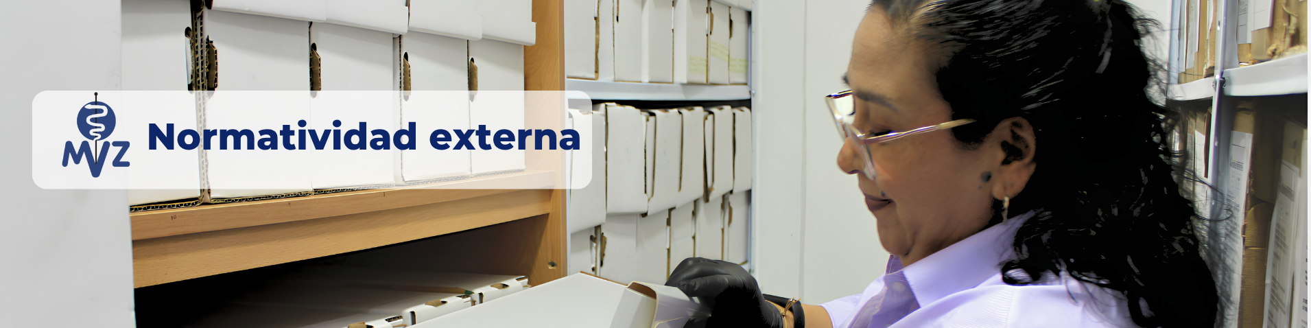 Baner Normatividad